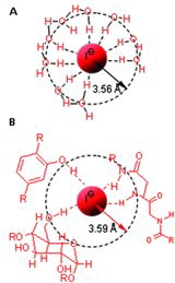 FIGURE 8. Iodide surrounded by (A) Aqueous hydration shell; (B) intracellular phenols, carbohydrates, or amines (Küpper et al., Citation2008).