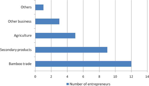 Figure 2. Entrepreneurs’ engagement in different occupations as primary earning source.