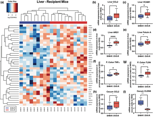 Figure 5. Gene expression of gnotobiotic recipient mice (R) four weeks after being colonized with microbiota of ovariectomized (OVX) or sham-operated (SHM) donor C57BL/6J mice fed a low-fat diet. Hierarchical clustering based on similarity of the hepatic gene expression (a) and relative expression of genes related to inflammation and tight junction proteins in liver, proximal colon (P. Colon), and cecum (b-i) of gnotobiotic mice. Each row of the heatmap represents a specific gene of interest, and each column represents one sample with color code denoting treatment groups (SHM-R: blue; OVX-R: red). *p < .05, **p < .01, ****p < .0001.