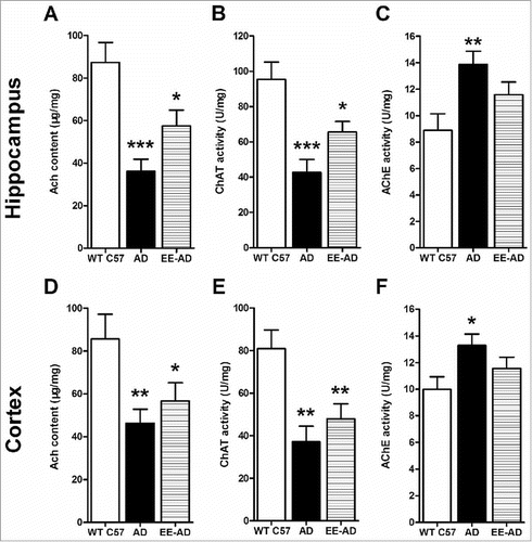 Figure 4. Changes of the content of Ach, ChAT and AchE in the hippocampus (A, B, C) and cortex (D, E, F) of the mice. Compared with the control group, the Ach and ChAT in the brain of AD mice decreased significantly, while the content of AchE increased significantly. The AD mice fed in EE showed that these changes were relieved in varying degrees, but there wash no statistical difference compared with the AD mice. *P < 0.05, **P < 0.01, ***P < 0.001, compared with wild type C57.