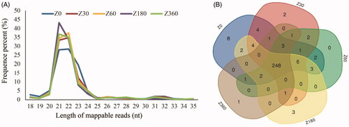 Figure 1. (A) Length distribution of high-quality miRNA reads at each postnatal developmental time point. (B) Venn diagram showing overlapping expression of individual miRNAs across the five developmental stages.