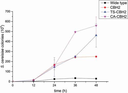 Figure 3. The growth of different recombinant S. cerevisiae during the fermentation.