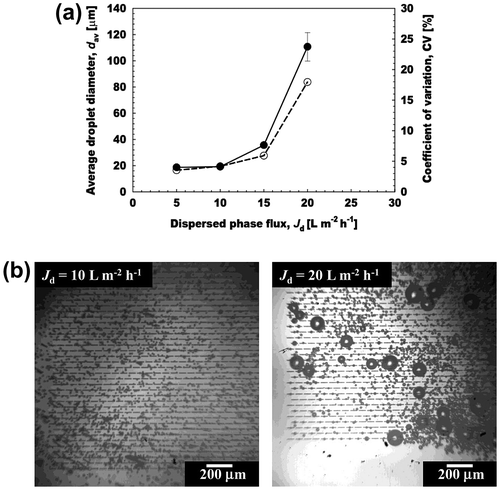 Fig. 4. Effect of dispersed phase flux on production characteristics of aqueous microspheres.Notes: (a) The average diameter (dav) and CV of the microspheres with increasing dispersed phase flux (Jd). (●) denotes the dav of the microspheres and (○) indicates their CV. (b) Optical micrographs of microsphere generation at Jd of 10 and 20 L m−2 h−1.