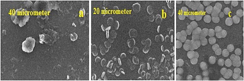 Figure 8. (a) The untreated carbon, (b) 10 mint (c) 1 h ultrasonication in POM solution ( Citation47).