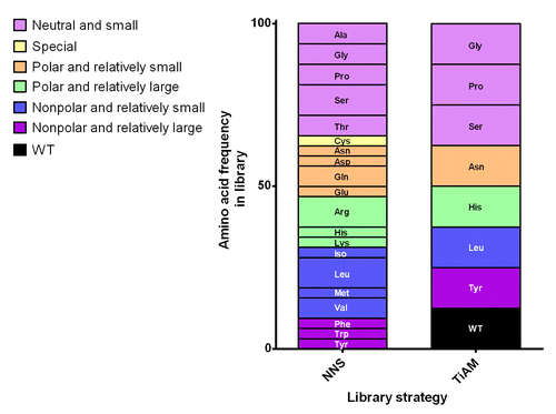 Figure 2. Representation of the CDR loop randomization strategies for affinity maturation. In the typical in vitro optimization strategy, blocks of six CDR residues are fully randomized in separate libraries using degenerate NNS codons, producing the amino acid frequencies shown in the graph. In contrast, the TiAM approach uses an equal frequency of eight different codons (encoding the wild type plus the seven preferred amino acid sub-types), allowing up to 12 residues to be mutated in parallel in a single library. Amino acids are grouped in six families according to side-chain properties, neutral and small, special, polar and relatively small, polar and relatively large, nonpolar and relatively small and nonpolar and relatively large.
