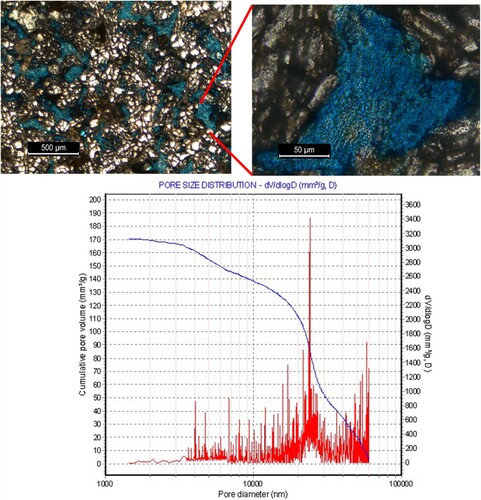 Figure 3. (a) Thin section image showing pore space indicated by blue epoxy, (b) magnified image of pore space, and (c) Pore size distribution of Berea sandstone sample from mercury porosimetry.