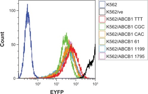 Figure 1 Expression of enhanced yellow fluorescent protein (EYFP). All ABCB1 transduced cell lines had similar expression of EYFP, as shown by the overlapping fluorescent profiles. Cells transduced with empty vector (K562/ve) express high EYFP fluorescence.