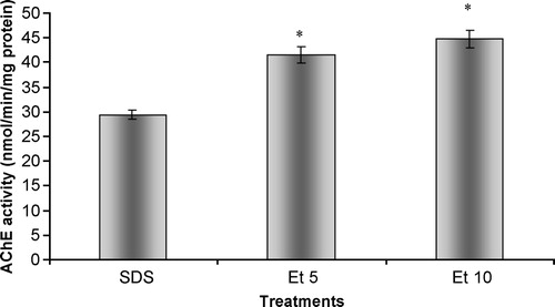 Figure 7 In vitro effects of ethanol on acetylcholinesterasic activity of total head homogenates of G. holbrooki previously treated with SDS. SDS – homogenate previously incubated with SDS, in a final concentration of 12.5 mg/L; Et5 – homogenate simultaneously incubated with SDS in a concentration of 12.5 mg/L and 10 ml/ml of ethanol; Et10 – homogenate simultaneously incubated with SDS in a concentration of 12.5 mg/L and 20 ml/ml of ethanol. Values are the mean of three replicate assays and corresponding standard error bars. *-Significant differences, p < 0.05.