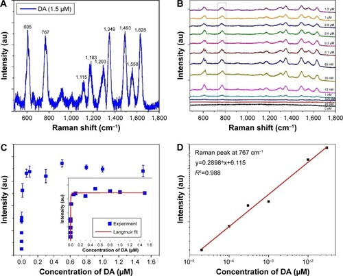 Figure 5 SERS of DA adsorbed on the surface of Ag NPs dimers.Notes: (A) SERS of DA at 1.5 μM. (B) SERS of DA at different DA concentrations. (C) Main panel: SERS intensities of the peak at 767 cm−1 vs DA concentration. Inset: the line is fit by the Langmuir isotherm. (D) SERS intensity vs concentration of DA (20 pM–300 nM).Abbreviations: DA, dopamine; SERS, surface-enhanced Raman scattering.