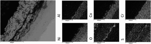 16 SEM/EDX mapping images show the presence of oxidation and hot corrosion post-exposure. Cross-section taken at 50% of blade height