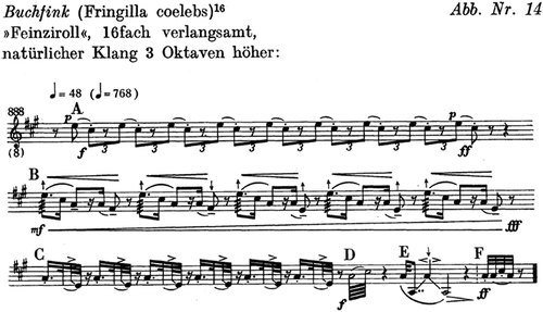 Figure 5. The song of the finch, transcribed by Peter Szöke (Citation1994, 89)
