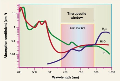 Figure 1 Spectrum of absorption from 400 nm to 1,000 nm.