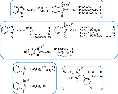 Figure 4. Investigated benzimidazole derivatives without basic side chain.