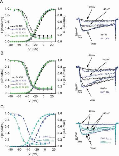 Figure 3. Effects of Cav1.3 splicing outside the C-terminus on channel gating