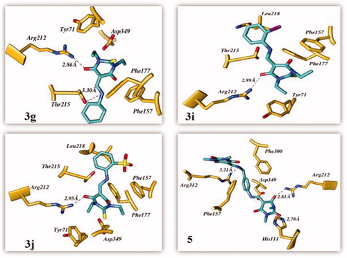 Figure 4. The predicted binding interactions of compounds 3g, 3i, 3j, and 5 in the active site.