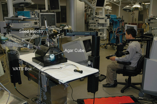 Figure 1. The set-up for the experiments with the ZEUS system using the injector to insert seeds into agar cubes within the VATS box. The surgeon could only see the agar cube on the monitor. [Color version available online.]