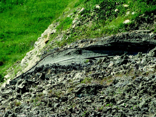 Figure 6. Strike-slip fault along the body of the earth flow. Slickensides and arrow show movement direction. Distance from left to right across the photo is about 4 m.