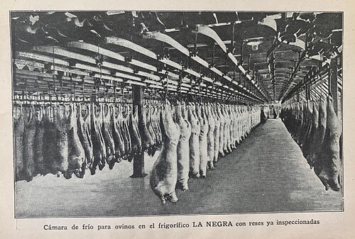 Figure 11. La Negra’s Meat Cold Room. Source: Mil Fórmulas de Cocina “La Negra” (Citation1924).