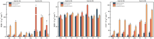 Figure 8. Variation in peroxidase, catalase, and superoxide dismutase content in three desert plants.