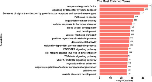 Figure 4 Top 20 enrichment terms in LTBI vs. HC differentially expressed miRNA target gene enrichment terms. The value at the end of the bar indicates the number of genes enriched to this function.