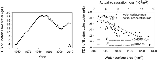 Figure 5 (A) Temporal trends in the TDS of Bosten Lake water from 1958-2011 and (B) regression analyses of TDS and both water surface area and actual evaporation loss of Bosten Lake from 1980 to 2011 (P < 0.05).