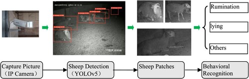 Figure 1. Video data collection.