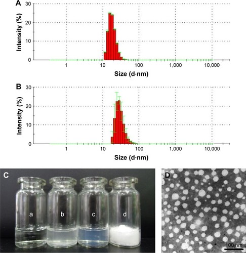 Figure 3 Characterization of ZNS-M.Notes: Size distribution of (A) blank M and (B) ZNS-M; (C) photographs of different solutions: (a) water, (b) free ZNS in water, (c) ZNS-M and (d) lyophilized powder of ZNS-M; (D) TEM image of ZNS-M. Scale bar =100 nm.Abbreviations: M, micelles; TEM, transmission electron microscope; ZNS, zonisamide; ZNS-M, zonisamide micelles.