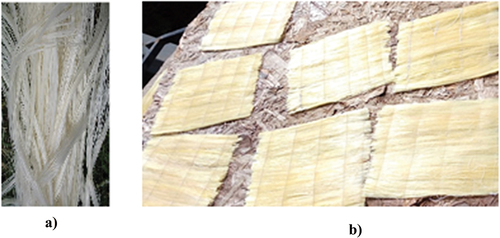 Figure 1. Sisal fiber forms: (a) Treated sisal fibers, (b) sisal plies.