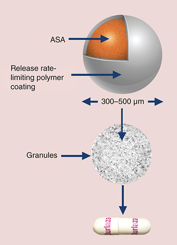 Figure 2. Micropump® (Flamel Technologies SA, Pessac, France) delivery platform for extended-release acetylsalicylic acid.Each extended-release capsule contains a core of release rate-limiting, film-coated microcapsules containing 162.5 mg of ASA.ASA: Acetylsalicylic acid.