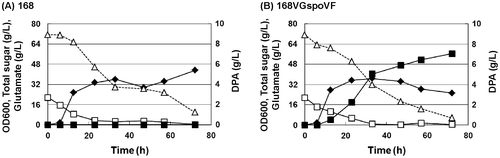 Fig. 2. Profiles of DPA production with B. subtilis (A) 168 and (B) 168VGspoVF.Note: OD600 (filled diamonds), DPA (filled squares), glutamate (Glu: open squares), total sugar (open triangles).