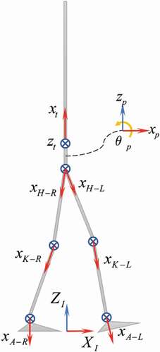 Figure 4. Coordinate systems used in the kinematics of user