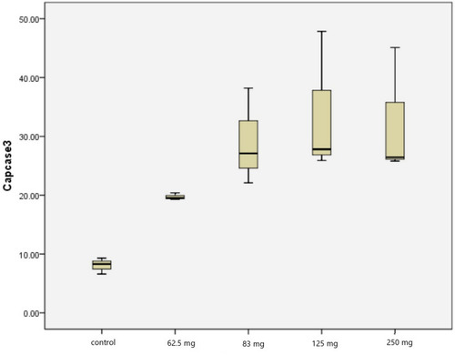 Figure 2 Caspase 3 expression in PC-3 cell line.