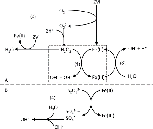 Figure 2. Activated species generated in Fe-based advanced oxidation processes (AOPs) where (A) is for OH•-based AOPs (Neyens and Baeyens, Citation2003; Pignatello et al., Citation2006; Hartmann et al., Citation2010; Correia de Velosa and Pupo Nogueira, Citation2013) and (B) is for SO4•−-based AOPs (Ghauch et al., Citation2013; Ji et al., Citation2014), (Equation1(1) ) generated activated species from Fe/H2O2, photo/Fe/H2O2, electro/Fe/H2O2, sono/Fe/H2O2, etc.;(2) generated activated species from ZVI/O2;(3) generated activated species from photo degradation, electro degradation, sono degradation, etc.; and (4) generated activated species from Fe/persulfate.