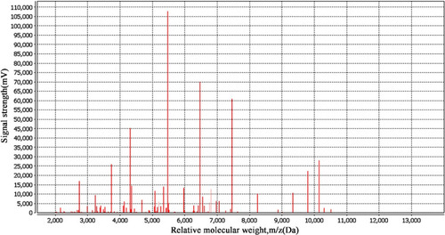 Figure 3 Mass spectra of the bacterial isolate.