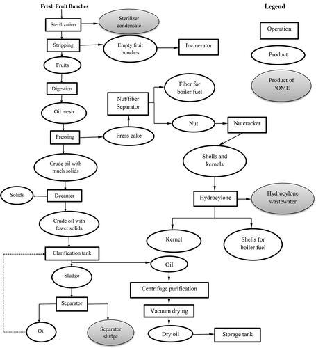 Figure 4. Palm oil extraction process.