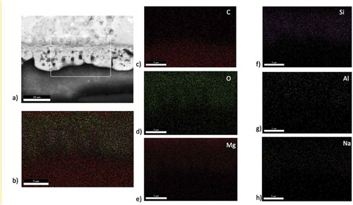 Figure 4. Elemental surface mapping of Mg/PEO: a) cross-section of SEM image of analyzed surface, b) mapping of whole cross-section, c) C content, d) O content, e) Mg content, f) Si content, g) Al content and h) Na content