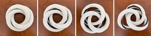 Figure 21. A clay model demonstrating that the hidden line where the three linked tori meet in Figure 20b coincides with a (1,1) torus knot on each torus, shown in black.