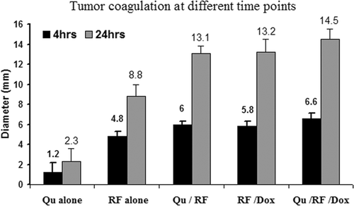 Figure 2. Comparison of tumour coagulation diameter at 4 h and 24 h post-RF ablation in different treatments. The bar graph demonstrates marked differences in coagulation obtained with varied treatment. Greatest coagulation is seen for triple therapy. The amount of tumour coagulation significantly increased from 4 to 24 h for all treatment groups except for quercetin alone (p < 0.001 for all comparisons).