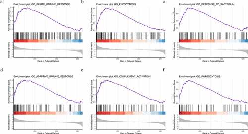 Figure 3. Identification of the top six enriched biological processes in DFU patients by gene set enrichment analysis (GSEA) analysis. (a) Innate immune response. (b) Endocytosis. (c) Response to bacterium. (d) Adaptive immune response. (e) Complement activation. (f) Phagocytosis.