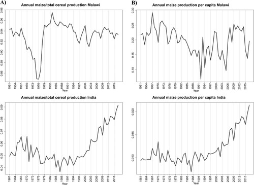 Figure 1. Maize production in Malawi and India 1961-2017. (A) Share of maize production of total cereal production. (B) Per capita maize production in tonnes. Data sources: FAOSTAT and WB.Source: Crop production data from FAOSTAT http://www.fao.org/faostat/en/#home. Population data from World Bank https://data.worldbank.org/indicator/SP.POP.TOTL