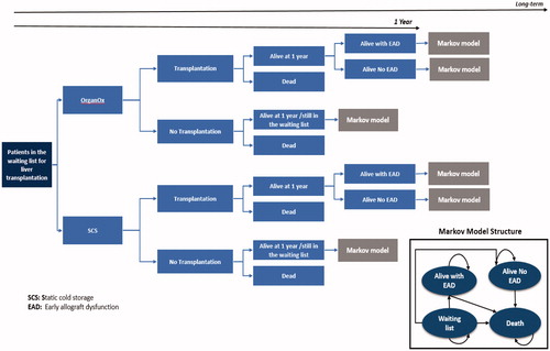 Figure 1. Model structure.