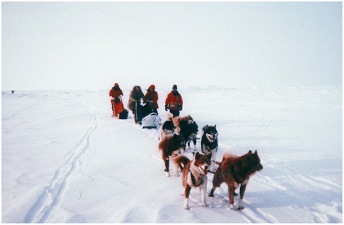 Figure 10. Claire (second from right) and others dogsledding toward the North Pole, 27 April 1999.