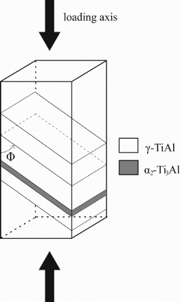 Figure 8. Schematic of a cuboidal PST (single colony) lamellar TiAl specimen with the angle Φ of the lamellar planes to the vertical loading axis indicated.
