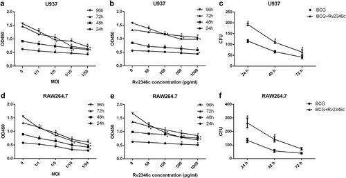 Fig. 1 Effect of Rv2346c on the proliferation of BCG-infected macrophages and the survival of BCG in macrophages.U937 and RAW264.7 cells were treated with BCG at the indicated MOI or BCG (MOI 1/5) together with the recombinant Rv2346c protein for 24, 48, 72, or 96 h. A CCK-8 assay was performed to estimate cell proliferation (a, b, d, e). Cells were also infected with BCG (MOI 1/5) with or without the recombinant Rv2346c protein (500 pg/ml) treatment for the indicated time, and a CFU assay was performed to assay BCG survival (c, f). All the presented graphs are representative of three independent experiments. Data are presented as the means ± SD. *P < 0.05 vs. control group. #P < 0.05 vs. BCG group of the same infection time