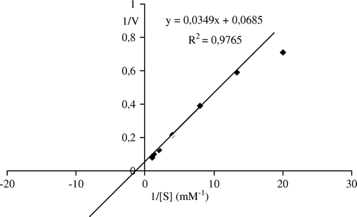 Figure 7.  Lineweaver-Burk plots of bentonite-immobilized Malatya apricot PE activity as a function of substrate concentration. Reaction mixtures contained varying levels of pectin (0.05–1 mM) in 0.1M NaCl (w/v) and 0.05 g of patially purified enzyme. The pH of the reaction was 9.0 and the temperature was 30°C.