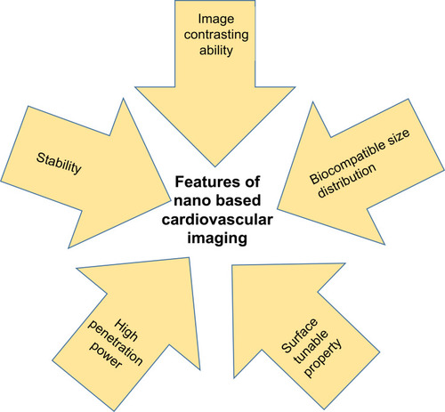 Figure 3 Special features of nanoparticles that made nanomaterials as indispensable in the cardiovascular imaging.
