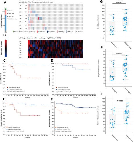 Figure 5 Genetic mutations in E2Fs and their association with OS, DFS, DSS, and FP of chRCC patients (cBioPortal). A high mutation rate (34%) of E2Fs was observed in chRCC patients. E2F3/5/8 ranked the highest three genes of genetic alterations, and their mutation rates were 11%, 11%, and 11%, respectively (A). mRNA expression z-scores of E2Fs relative to normal samples (B). Genetic alterations in E2Fs were associated with shorter overall survival (OS) 1.514 (C and G), Disease-Specific Survival (DFS) (E and I), and Progression-Free Survival (FP) (F and H) of chRCC patients. No association was noticed between the genetic alterations of E2Fs and Disease-Free Survival (DFS) in chRCC (D).