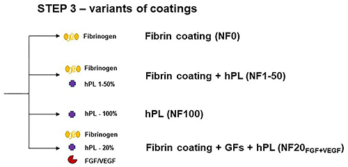 Figure 1 Variety of coatings on PLCL/PCL nanofibrous membrane.