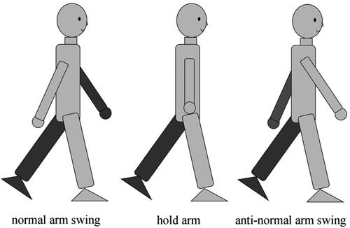 Figure 3. Schematic diagram of the normal arm swing (upper and lower limbs in the opposite phase), hold arms to the body (without arm swing), and anti-normal arm swing (upper and lower limbs in the same phase) during walking.
