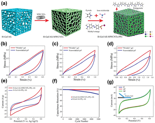 Figure 13. (a) Schematic diagram of the production of a gelatin hydrogel electrolyte. Cycle tensile loading-unloading curves of the wrinkled and nonwrinkled gels at (b) 50% strain, (c) 100% strain, and (d) 150% strain. (e) CV curves at a scan rate of 100 mV/s. (f) Capacitance retention of H-gel/AS-PPy-AS and H-gel/AS-MWCNTs-PPy-AS gels. (g) CV curves of the fabricated supercapacitor under different bending conditions at a scan rate of 100 mV/s. Reproduced with permission from (Bu et al. Citation2021).